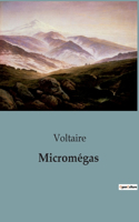 Micromégas