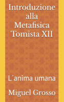 Introduzione alla Metafisica Tomista XII