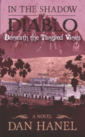 In the Shadow of Diablo