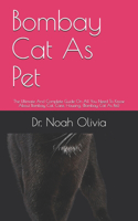 Bombay Cat As Pet