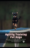 Agility Training For Dogs