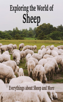 Exploring the World of Sheep