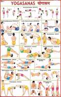 Yoga Chart ( 70 X 100 Cm )