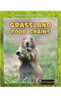 Grassland Food Chains
