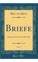 Briefe, Vol. 7: Hhepunkt Und Ende, 1886-1894 (Classic Reprint)