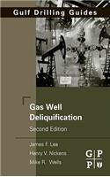 Gas Well Deliquification