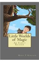Little Worlds of Magic