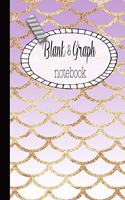 Blank & Graph notebook