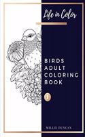 BIRDS ADULT COLORING BOOK (Book 1)
