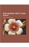Bob Hanson, First Class Scout