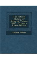Natural History of Selborne Volume 1847