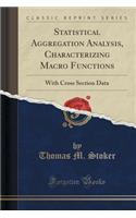 Statistical Aggregation Analysis, Characterizing Macro Functions: With Cross Section Data (Classic Reprint)