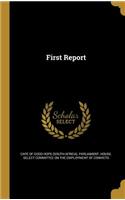 First Report