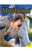 Mustangs: (All about Horses)
