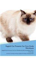 Ragdoll Cat Presents