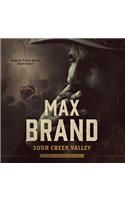 Sour Creek Valley: A Western Story