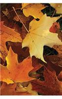 Autumn Leaves Grid Notebook: 150 Page Grid Notebook Journal Diary