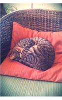 Sweet Napping Tabby Cat on a Cushion on a Chair Journal: 150 Page Lined Notebook/Diary