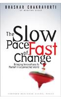 The Slow Pace of Fast Change