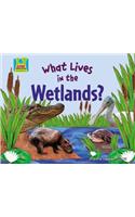 What Lives in the Wetlands?