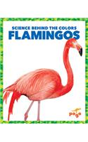 Flamingos: (Science Behind the Colors)