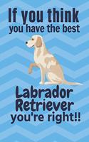 If you think you have the best Labrador Retriever you're right!!