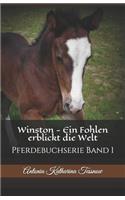 Winston - Ein Fohlen erblickt die Welt