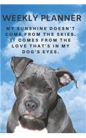 2020 & 2021 Two-Year Weekly Planner For Pit Bull Ownder - Cute Staffordshire Terrier Dog Appointment Book Gift - Two Year Agenda Notebook: Starts November 2019 - Month Calendar: 2 Years of Monthly Plans - Daily Logbook - Personal Goal Day Log With Quote