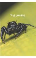 Passwords