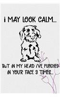 I May Look Calm But In My Head I've Punched In Your Face 3 Times: Wirehaired Pointing Griffon Puppy Dog 2020 2021 Monthly Weekly Planner Calendar Schedule Organizer Appointment Journal Notebook For Wirehaired Point