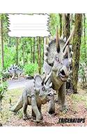 Triceratops Dinosaur Wide-rule lined Composition Book: Triceratops Dinosaur with baby, For Dinosaur Lovers, Used by Elementary and Middle school classes, Homeschooled, Teachers or School Offices, For tak