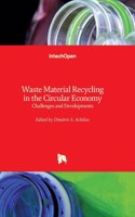 Waste Material Recycling in the Circular Economy