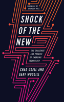 Shock of the New