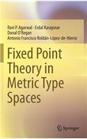 Fixed Point Theory in Metric Type Spaces