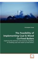 The Feasibility of Implementing Coal