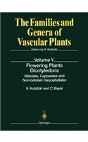 Flowering Plants · Dicotyledons