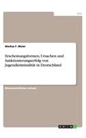 Erscheinungsformen, Ursachen und Sanktionierungserfolg von Jugendkriminalität in Deutschland