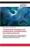 Tratamiento biológico de sedimentos contaminados con hidrocarburos