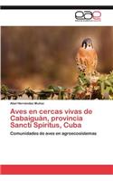 Aves En Cercas Vivas de Cabaiguan, Provincia Sancti Spiritus, Cuba