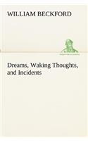 Dreams, Waking Thoughts, and Incidents