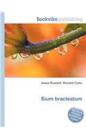 Sium Bracteatum