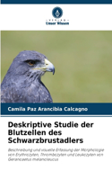 Deskriptive Studie der Blutzellen des Schwarzbrustadlers