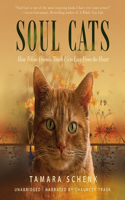 Soul Cats