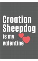 Croatian Sheepdog is my valentine: For Croatian Sheepdog Fans
