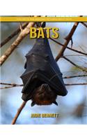 Bats