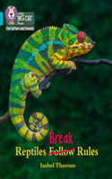 Reptiles Break Rules: Band 07/Turquoise(Collins Big Cat Phonics for Letters and Sounds)