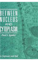 Between Nucleus and Cytoplasm