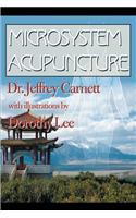 Microsystem Acupuncture