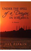 Under the Spell of a Dragon in Istanbul