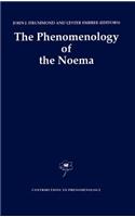 Phenomenology of the Noema